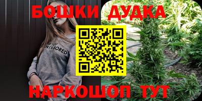 ПСИЛОЦИБИНОВЫЕ ГРИБЫ Гусиноозёрск