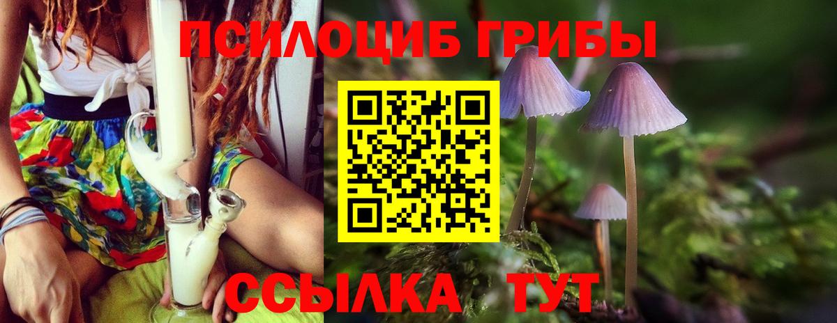 Псилоцибиновые грибы Psilocybe Лабинск